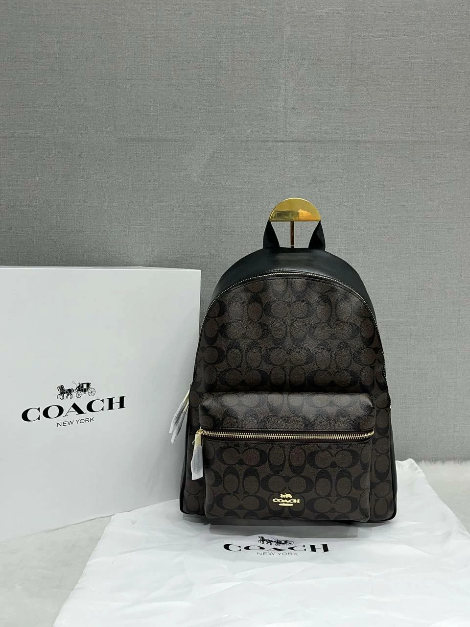 photo_2024-11-23_15-09-17