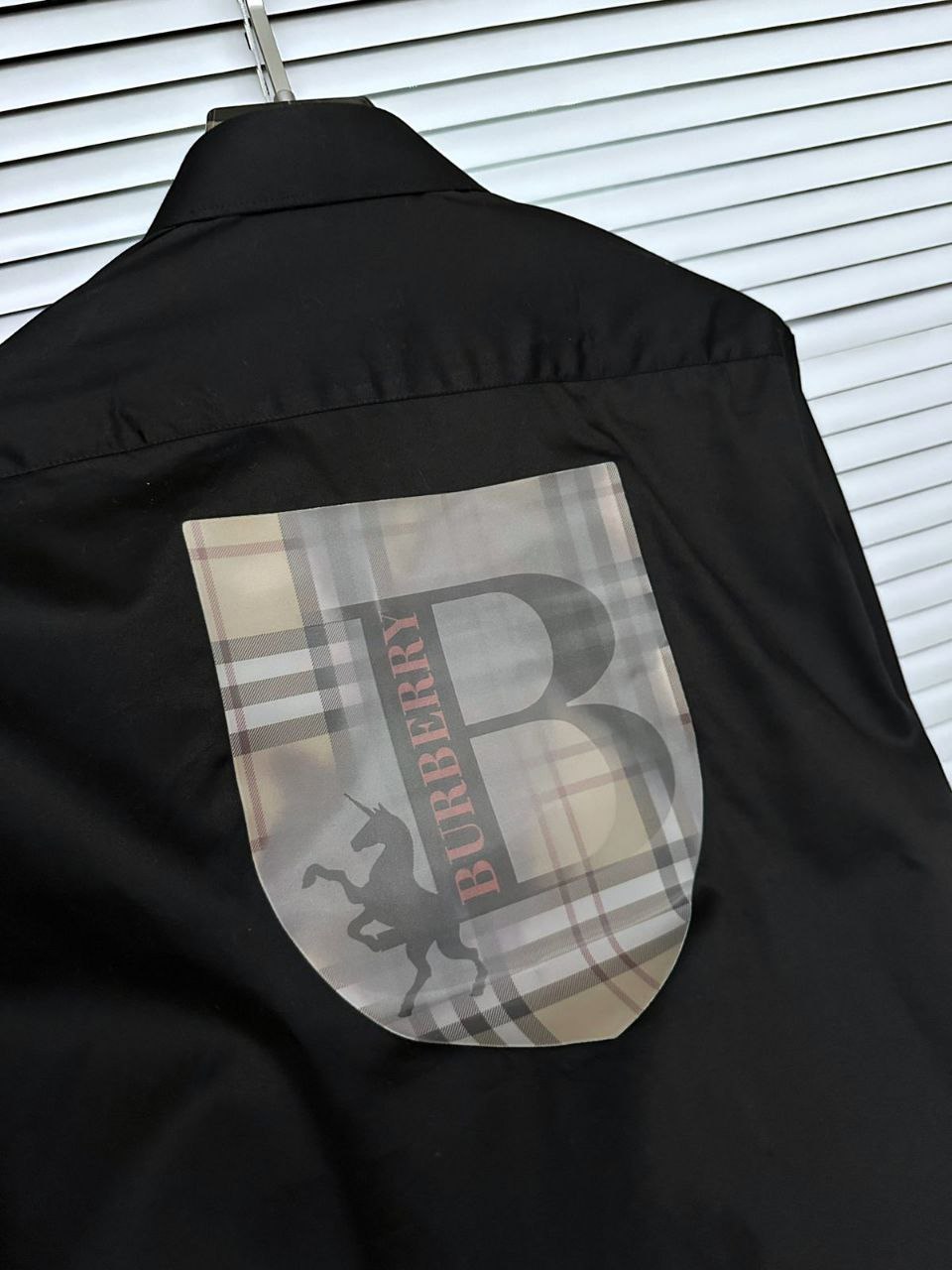 photo_2025-01-20_11-33-57