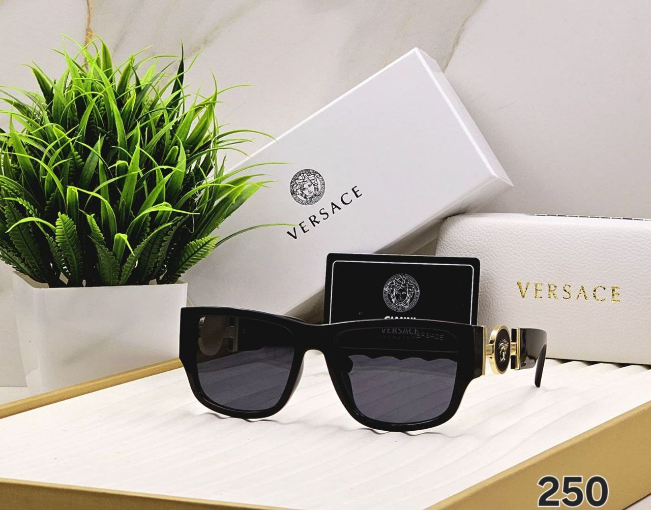 photo_2025-03-19_11-02-49