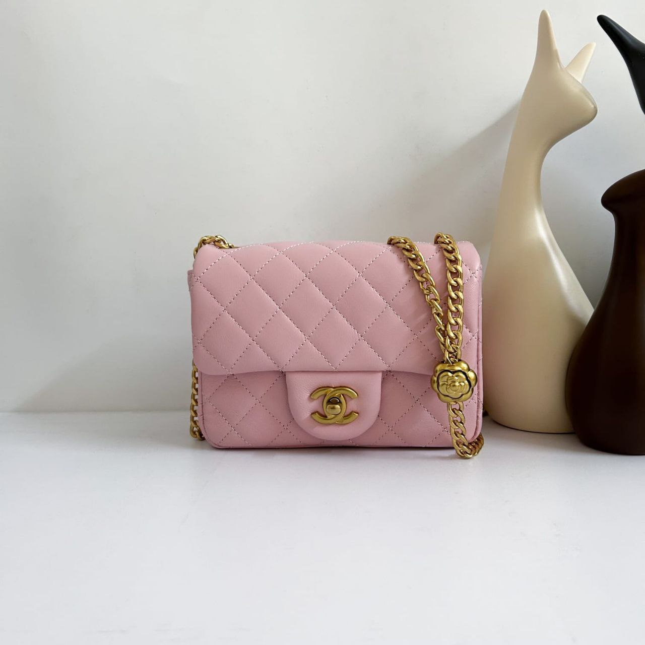 photo_2025-03-20_09-59-48